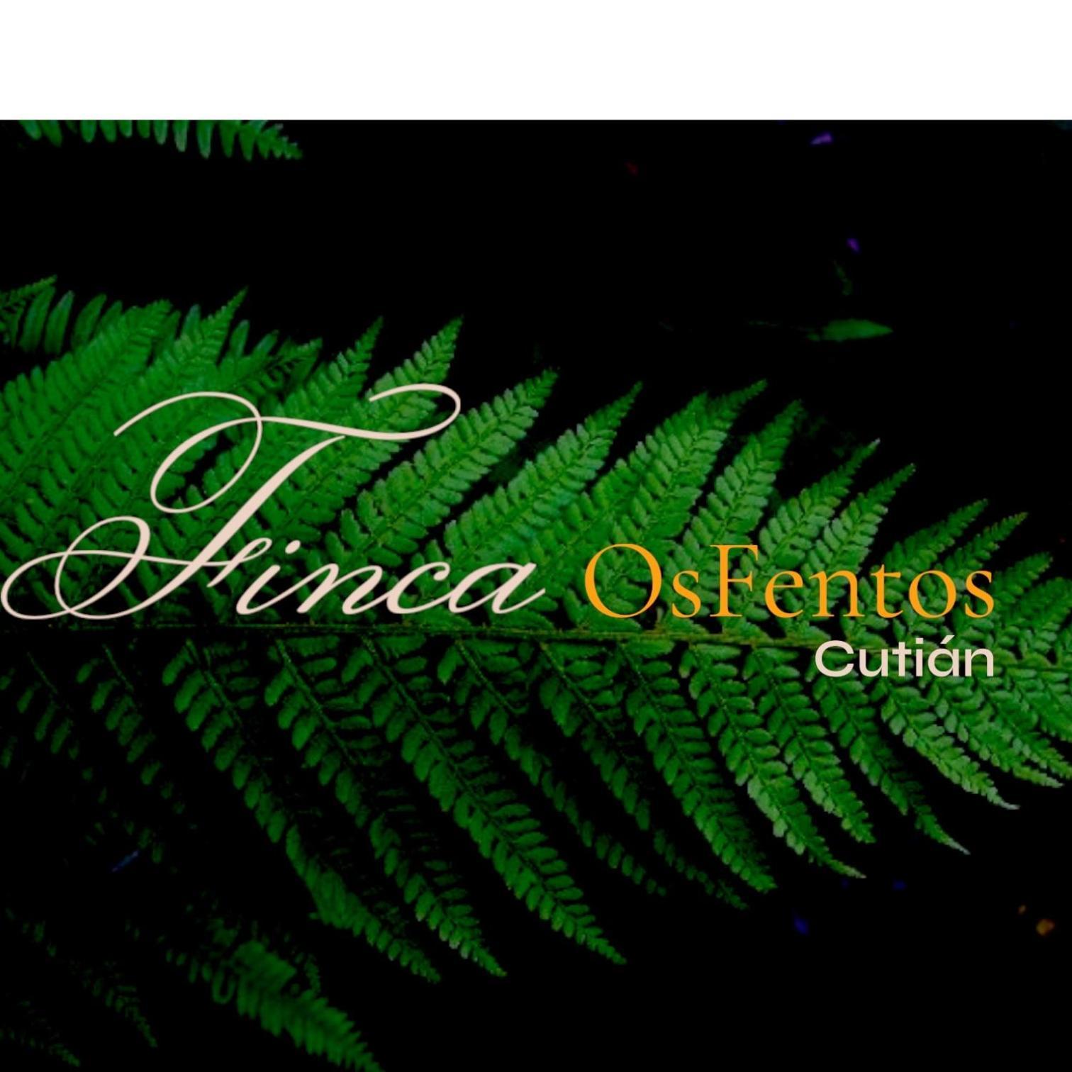 לינה וארוחת בוקר פונטה-ודרה Os Fentos מראה חיצוני תמונה